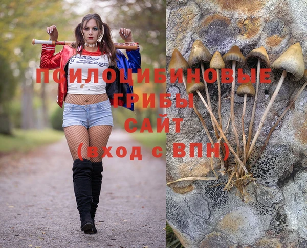мескалин Приозерск