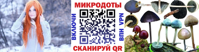 blacksprut маркетплейс  Лаишево  Галлюциногенные грибы Cubensis 
